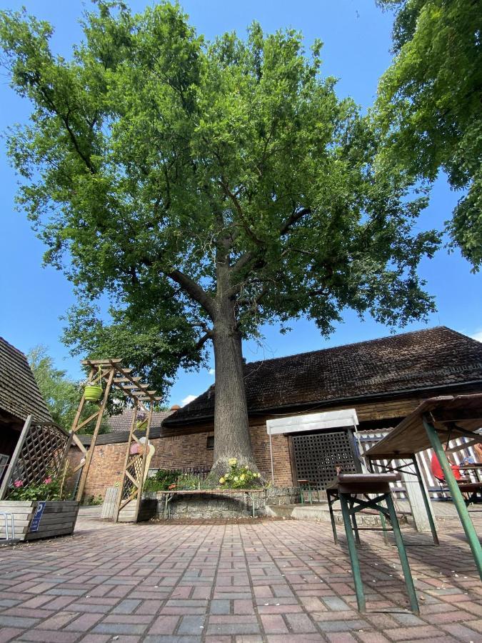 Kaupen Pension Unter Der 250 Jaehrigen Eiche - Lehde Zentrum מראה חיצוני תמונה